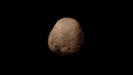 potato photograph by kevin abosch