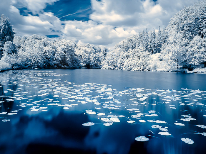 infrared nature photography